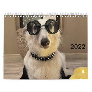 2022 Silken Windhounds (verlaagd omhoog/Gekke) Kal Kalender
