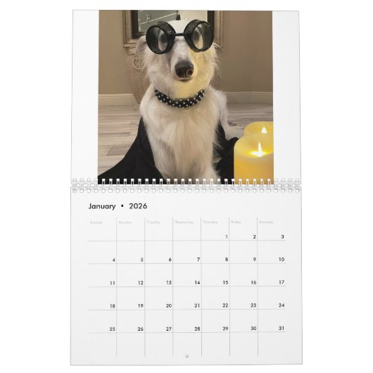 2022 Silken Windhounds (verlaagd omhoog/Gekke) Kal Kalender (Jan 2026)