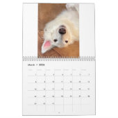 2022 Silken Windhounds (verlaagd omhoog/Gekke) Kal Kalender (Mar 2026)