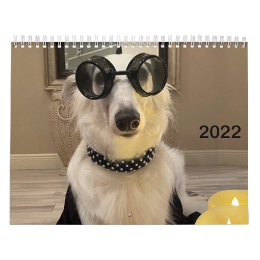 2022 Silken Windhounds (verlaagd omhoog/Gekke) Kal Kalender (Hoes)