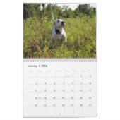 2022 Vogelkalender ter gelegenheid van de droompla Kalender (Jan 2026)