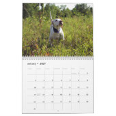 2022 Vogelkalender ter gelegenheid van de droompla Kalender (Jan 2027)