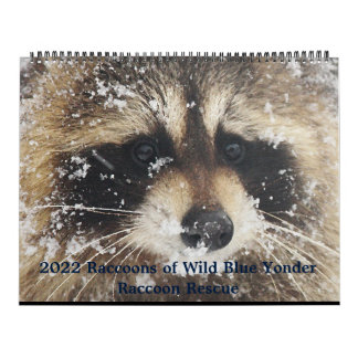 2022  Wild Blue Yonder Raccoon Rescue   Kalender