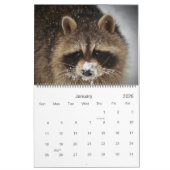 2022 Wild Blue Yonder Raccoon Rescue Kalender (Jan 2026)
