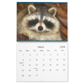 2022 Wild Blue Yonder Raccoon Rescue Kalender (Mar 2026)