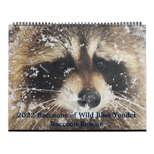 2022 Wild Blue Yonder Raccoon Rescue Kalender (Hoes)