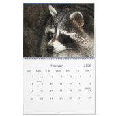 2022 Wild Blue Yonder Raccoon Rescue Kalender (Feb 2026)