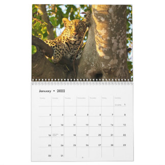 2022 Wildlife Wall Agenda Kalender