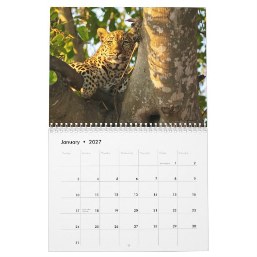 2022 Wildlife Wall Agenda Kalender (Jan 2027)
