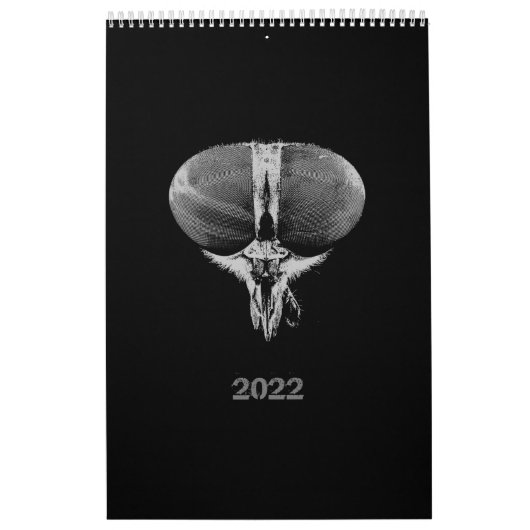 2022 Zwart-wit minimalistische stijl Insects 2022 Kalender (Hoes)