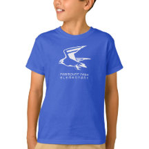 2023-24 FPE Falcon Blue Boys T-shirt