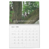 2023 Aanwijzers van het HoofdagendapuntRescue Kalender (Mar 2026)