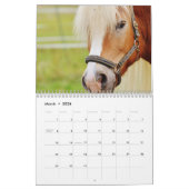 2023 Afbeeldingen van paardenAfbeeldingen Kalender (Mar 2026)