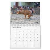 2023 Agenda voor honden plaatsen Kalender (Feb 2027)