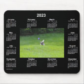 2023 Ball-spelenderkalender met Dog Neon-foto van Muismat (Voorkant)