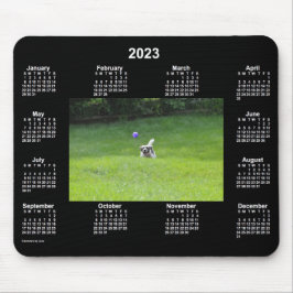 2023 Ball-spelenderkalender met Dog Neon-foto van  Muismat