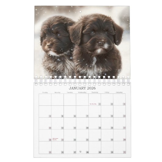 2023 Chocolade Havanese Puppy Calendar door HavaHu Kalender (Jan 2026)