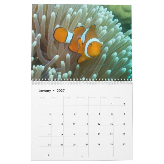 2023 Coral Zee Calendar Kalender (Jan 2027)