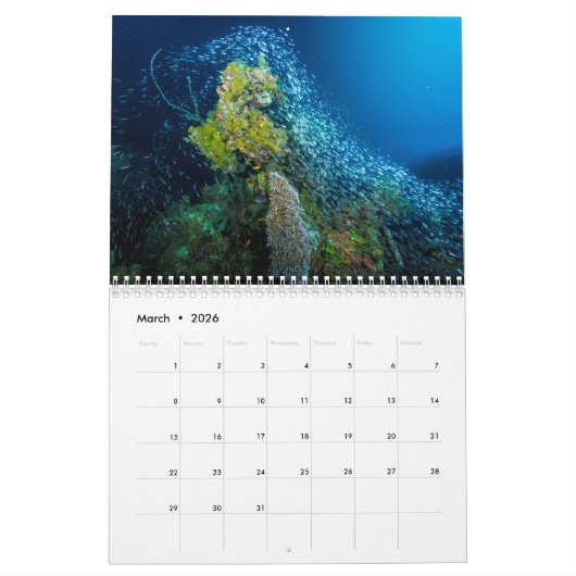 2023 Coral Zee Calendar Kalender (Mar 2026)
