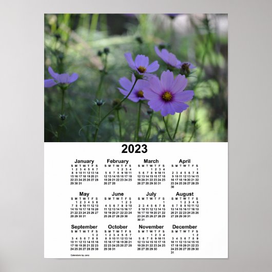 2023 Cosmos Kalender van Janz Poster (Voorkant)
