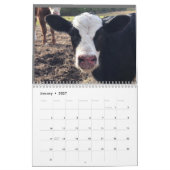 2023 Cow Calendar Kalender (Jan 2027)
