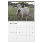 2023 Cow Calendar Kalender (Feb 2027)