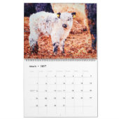 2023 Cute Galloway Koe Cattle Waterverf Painting Kalender (Mar 2027)