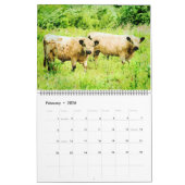 2023 Cute Galloway Koe Cattle Waterverf Painting Kalender (Feb 2026)
