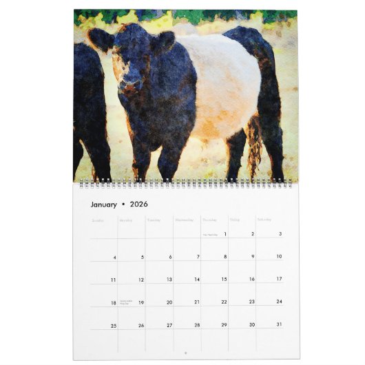 2023 Cute Galloway Koe Cattle Waterverf Painting Kalender (Jan 2026)