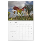 2023 Dag Lily Garden Kalender (Feb 2027)