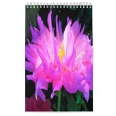 2023 Dahlia Flowers Kalender (Hoes)