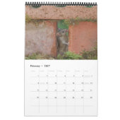 2023 de muis kalender (Feb 2027)