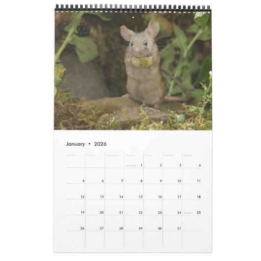 2023 de muis kalender (Jan 2026)