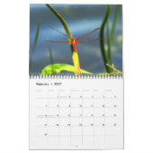 2023 Dragonfly-kalender Kalender (Feb 2027)