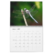 2023 Dragonfly-kalender Kalender (Mar 2027)