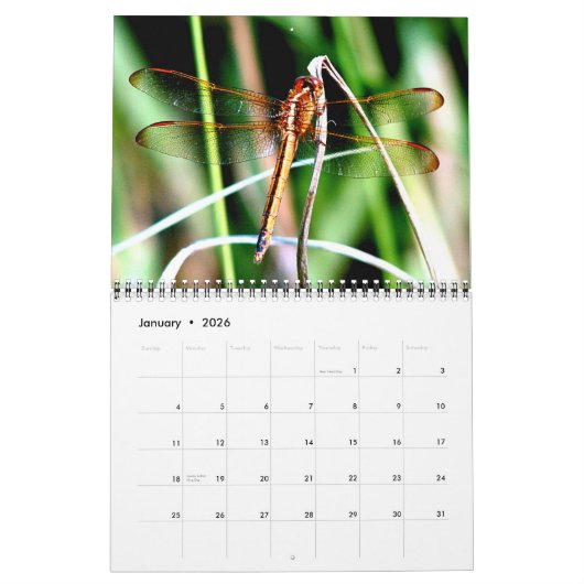 2023 Dragonfly-kalender Kalender (Jan 2026)
