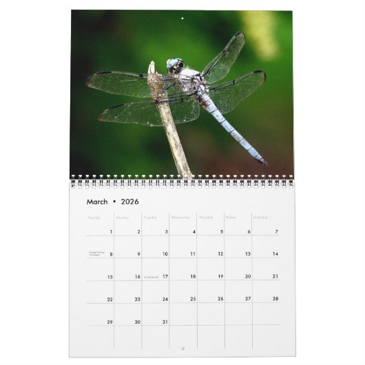 2023 Dragonfly-kalender Kalender (Mar 2026)