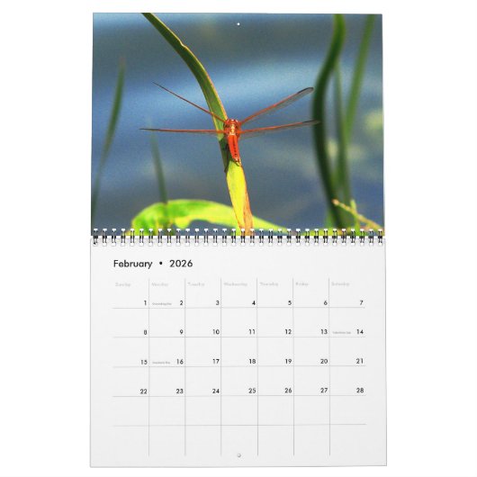 2023 Dragonfly-kalender Kalender (Feb 2026)