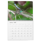 2023 Dragonfly Wall Agenda Kalender (Jan 2027)