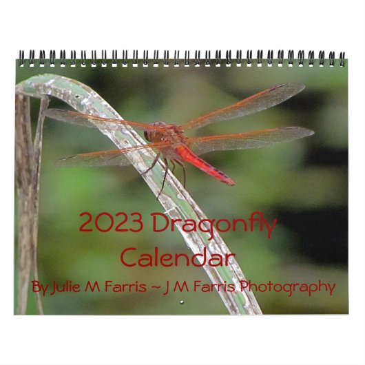2023 Dragonfly Wall Agenda Kalender (Hoes)