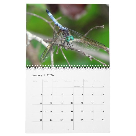 2023 Dragonfly Wall Agenda Kalender (Jan 2026)