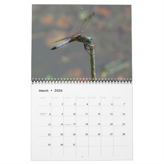 2023 Dragonfly Wall Agenda Kalender (Mar 2026)