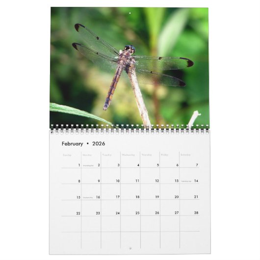2023 Dragonfly Wall Agenda Kalender (Feb 2026)
