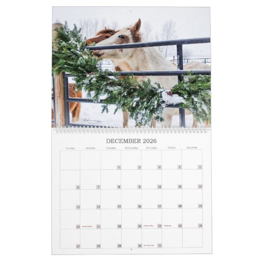 2023 - een jaaragenda voor Michigan Mustang Kalender (Dec 2026)