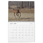 2023 Equine Photo Calendar II Kalender (Mar 2027)