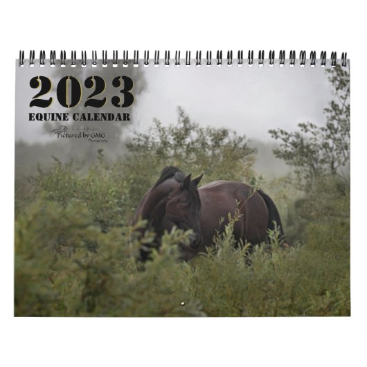 2023 Equine Photo Calendar II Kalender (Hoes)