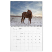 2023 Equine Photo Calendar Kalender (Feb 2027)