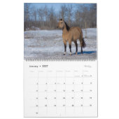 2023 Equine Photo Calendar Kalender (Jan 2027)
