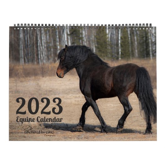 2023 Equine Photo Calendar Kalender (Hoes)