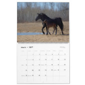 2023 Equine Photo Calendar Kalender (Mar 2027)